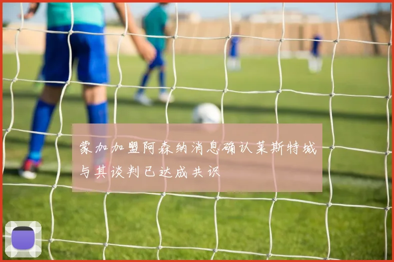 蒙加加盟阿森纳消息确认莱斯特城与其谈判已达成共识