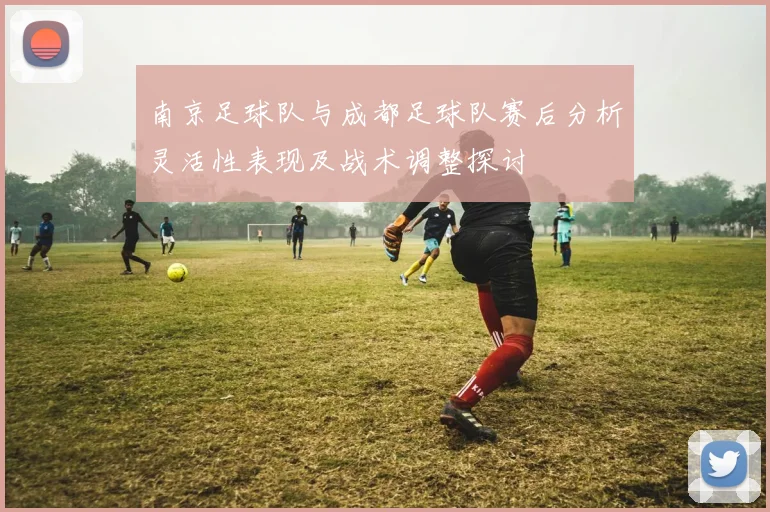 南京足球队与成都足球队赛后分析灵活性表现及战术调整探讨