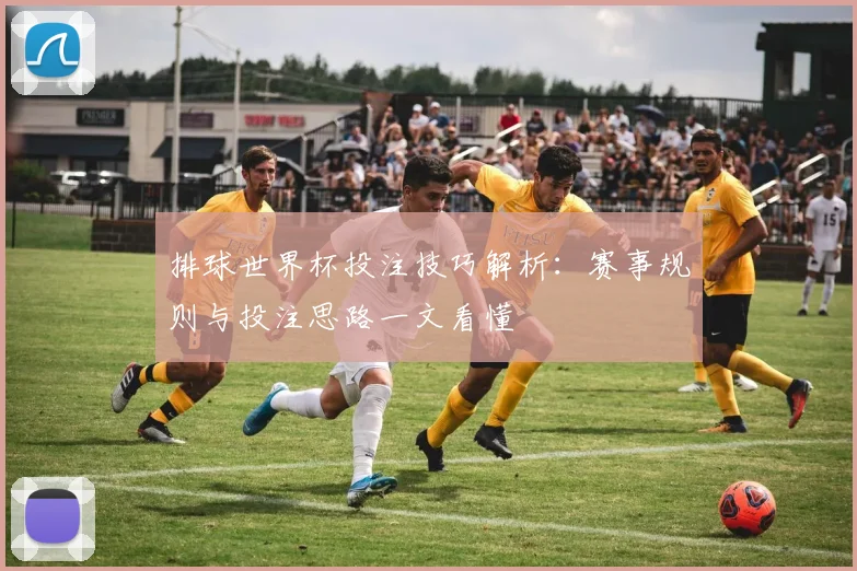 排球世界杯投注技巧解析：赛事规则与投注思路一文看懂