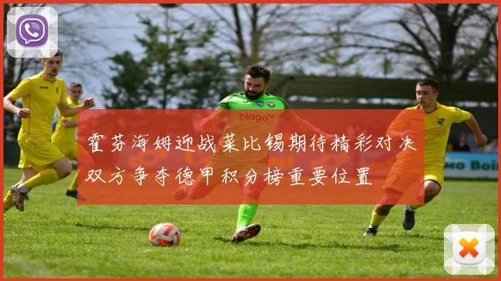霍芬海姆迎战菜比锡期待精彩对决双方争夺德甲积分榜重要位置