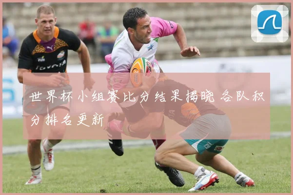 世界杯小组赛比分结果揭晓 各队积分排名更新
