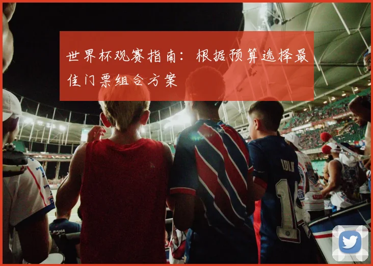 世界杯观赛指南:根据预算选择最佳门票组合方案