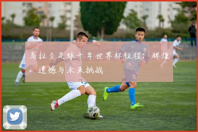 乌拉圭足球十年世界杯征程:辉煌、遗憾与未来挑战