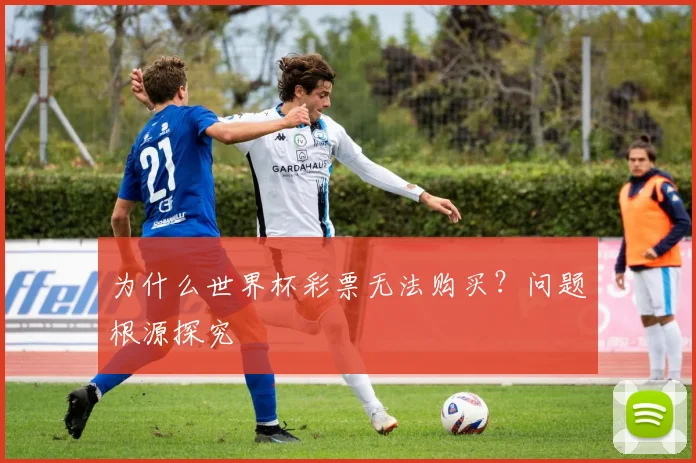 为什么世界杯彩票无法购买？问题根源探究