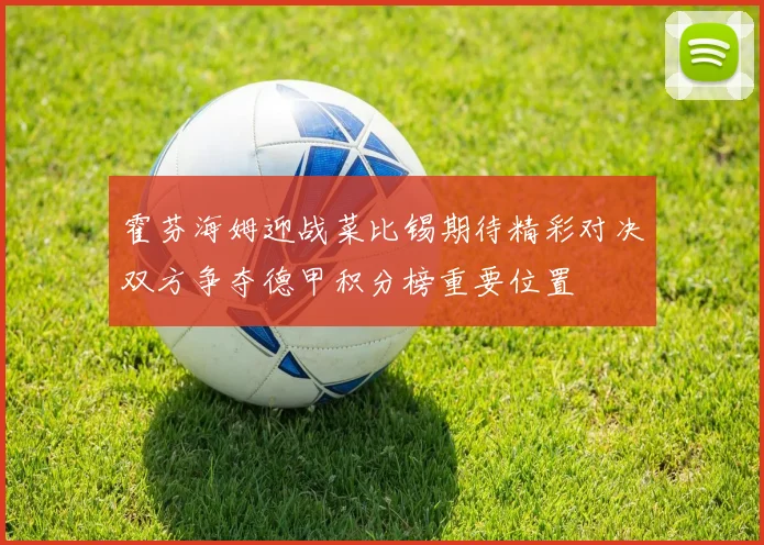霍芬海姆迎战菜比锡期待精彩对决双方争夺德甲积分榜重要位置