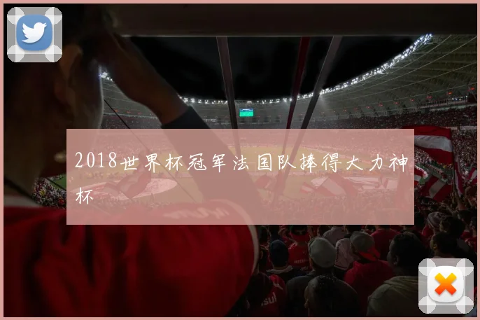 2018世界杯冠军法国队捧得大力神杯