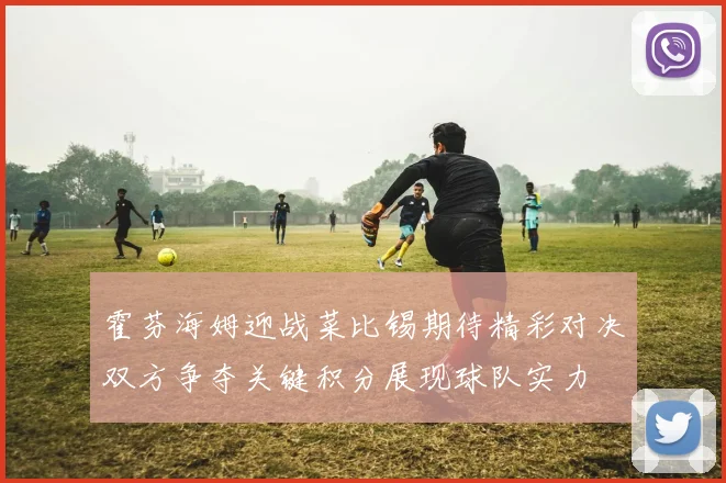 霍芬海姆迎战菜比锡期待精彩对决双方争夺关键积分展现球队实力