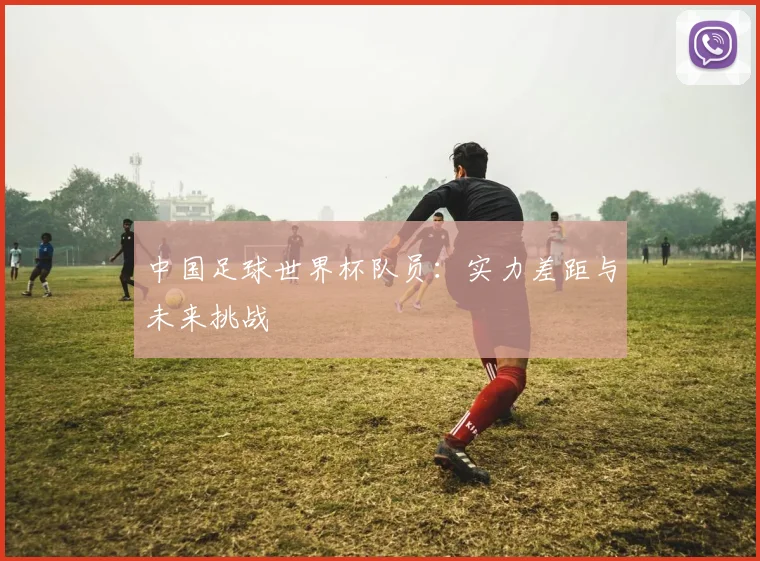 中国足球世界杯队员:实力差距与未来挑战