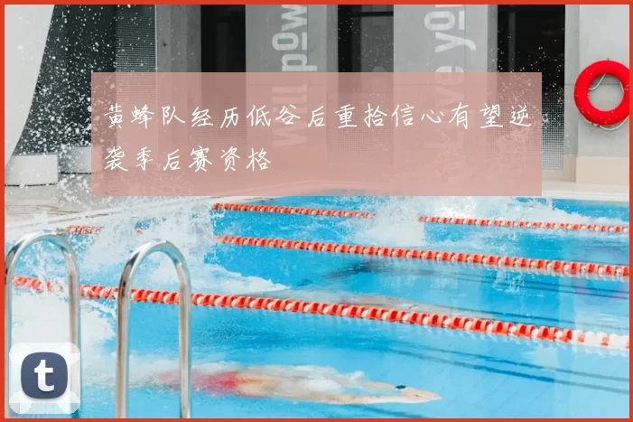 黄蜂队经历低谷后重拾信心有望逆袭季后赛资格