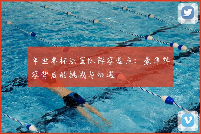 年世界杯法国队阵容盘点：豪华阵容背后的挑战与机遇