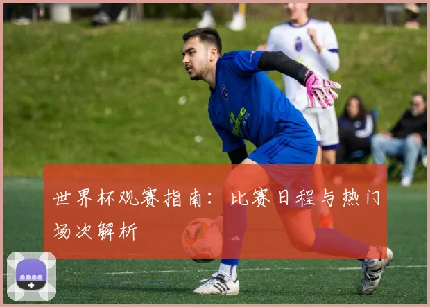 世界杯观赛指南:比赛日程与热门场次解析