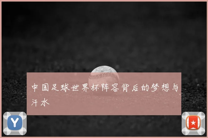 中国足球世界杯阵容背后的梦想与汗水
