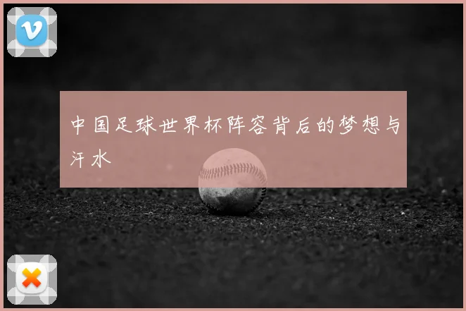 中国足球世界杯阵容背后的梦想与汗水